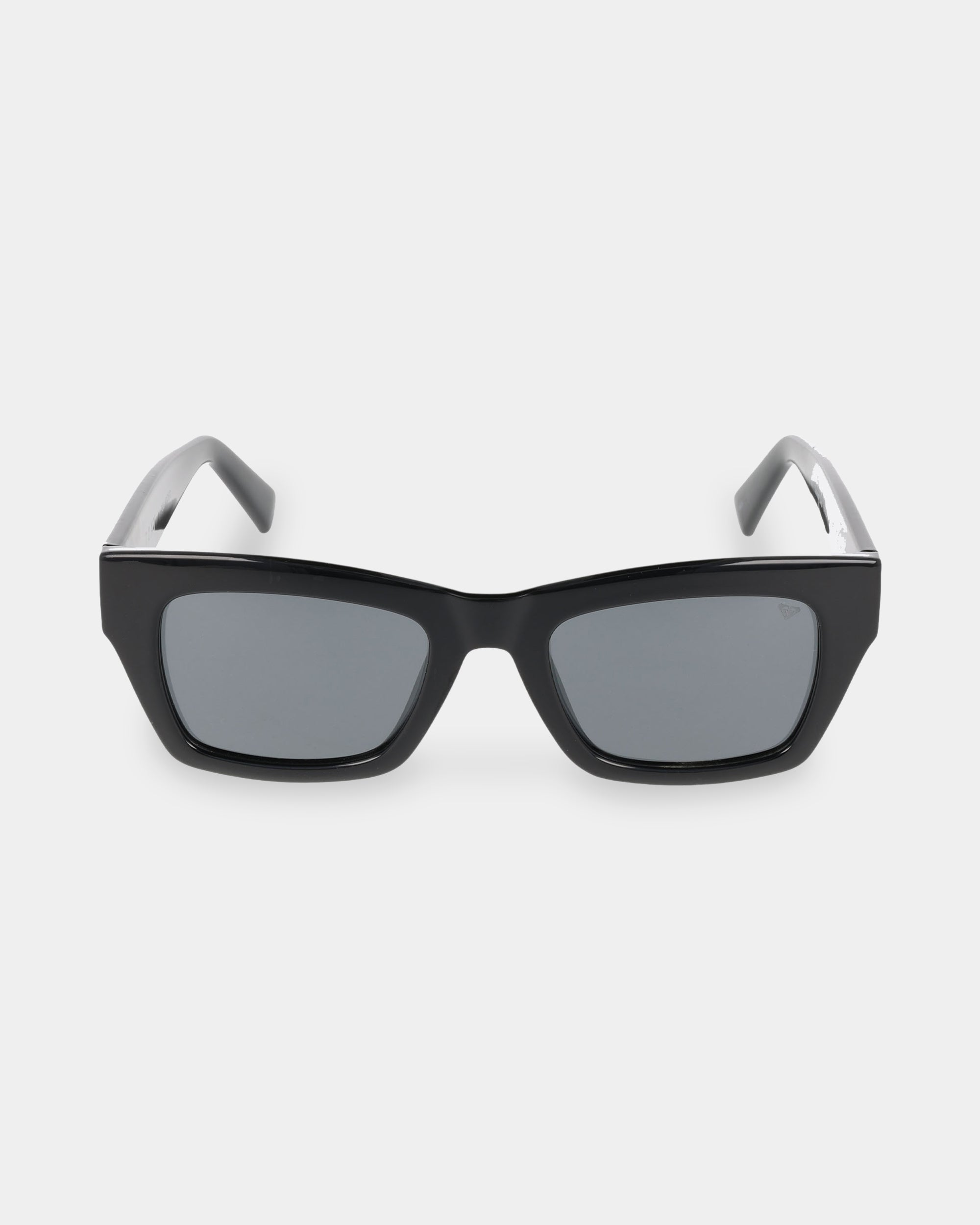 Womens Coastal Chic Polarised Sunglasses